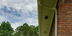 Church Gutter Cleaning Griffin, GA