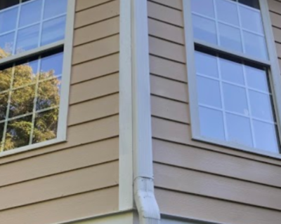 gutter-downspout-cleaning-griffin-ga